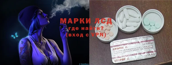 ПСИЛОЦИБИНОВЫЕ ГРИБЫ Верхний Тагил