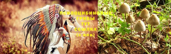 jwh Верея
