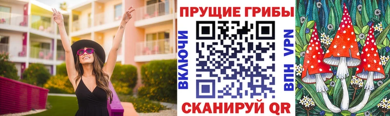 Псилоцибиновые грибы Cubensis  Купить где  Петрозаводск 
